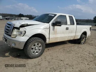 2009 Ford F-150 STX with VIN 1FTRX12809FA07861, listed as a Copart auction lot 49316575 with 167,389 mi miles and Clean Title. Bid and sale history available at carsss.com. Image 1.
