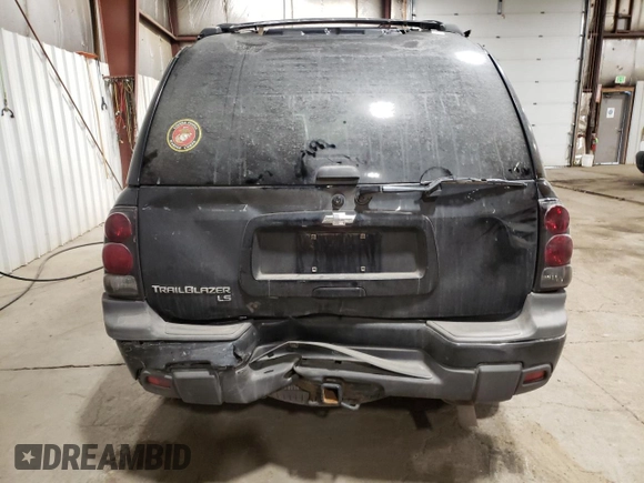 2006 Chevrolet TrailBlazer LS with VIN 1GNET16S666146766, listed as a Copart auction lot 46708035 with 138,111 mi miles and Salvage Title. Bid and sale history available at DreamBid. Image 6.