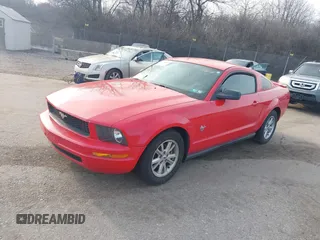 2009 Ford Mustang with VIN 1ZVHT80N195119208, listed as a IAAI auction lot 41785262 with 100,789 mi miles and . Bid and sale history available at carsss.com. Image 2.