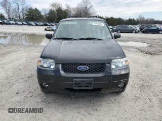 2006 Ford Escape Limited with VIN 1FMCU04196KA18798, listed as a Copart auction lot 50420725 with 113,425 mi miles and Clean title. Bid and sale history available at DreamBid. Image 5.