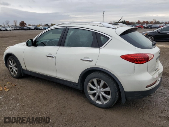 2009 Infiniti EX Journey with VIN JNKAJ09F09M950596, listed as a Copart auction lot 76023074 with 299,188 mi miles and Clean title. Bid and sale history available at DreamBid. Image 2.