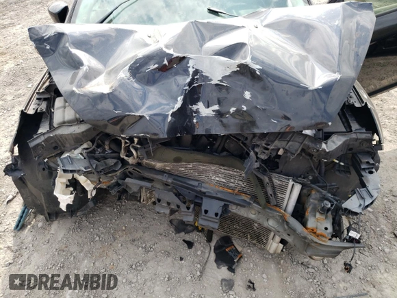 2015 Ford Focus SE with VIN 1FADP3F23FL227610, listed as a Copart auction lot 48946215 with Not provided miles and Salvage title. Bid and sale history available at DreamBid. Image 11.