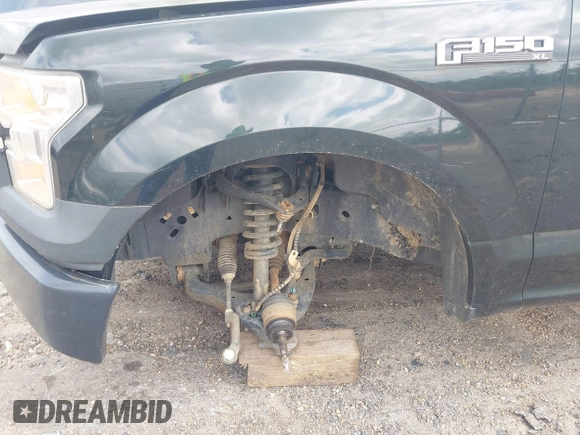 2015 Ford F-150 XLT with VIN 1FTFX1EF2FFB71167, listed as a IAAI auction lot 41947482 with Not Provided miles and . Bid and sale history available at DreamBid. Image 17.