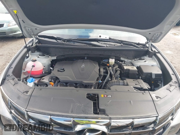2024 Hyundai Tucson Limited with VIN 5NMJECDE1RH363885, listed as a IAAI auction lot 42204779 with 141,146 mi miles and . Bid and sale history available at DreamBid. Image 10.