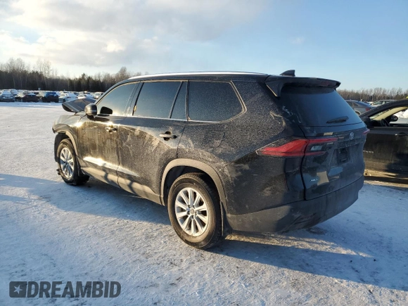 2024 Toyota Highlander XLE with VIN 5TDAAAB57RS027559, listed as a Copart auction lot 41861825 with 18,907 mi miles and Salvage title. Bid and sale history available at DreamBid. Image 2.
