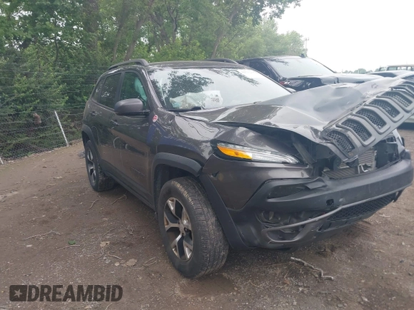 2018 Jeep Cherokee Trailhawk with VIN 1C4PJMBB0JD564792, listed as a IAAI auction lot 42513208 with 173,484 mi miles and . Bid and sale history available at DreamBid. Image 1.