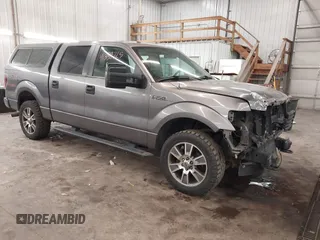 2014 Ford F-150 XL with VIN 1FTFW1EF1EKE83876, listed as a IAAI auction lot 41388725 with 248,807 mi miles. Bid and sale history available at carsss.com. Image 1.
