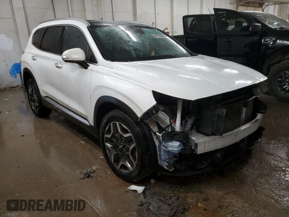 2022 Hyundai Santa Fe Limited with VIN 5NMS44AL0NH477029, listed as a Copart auction lot 88250595 with 79,712 mi miles and Salvage Title. Bid and sale history available at carsss.com. Image 4.