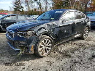 2019 BMW X4 xDrive30i with VIN 5UXUJ3C58KLG53315, listed as a Copart auction lot 73487673 with 0 mi miles. Bid and sale history available at carsss.com. Image 1.