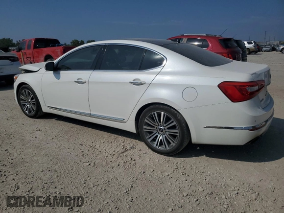 2014 Kia Cadenza Premium with VIN KNALN4D76E5157228, listed as a Copart auction lot 66576294 with 84,541 mi miles and Salvage Title. Bid and sale history available at carsss.com. Image 2.
