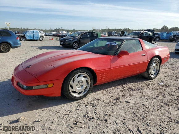 1994 Chevrolet Corvette with VIN 1G1YY22P8R5114158, listed as a Copart auction lot 49653625 with 0 mi miles and Salvage Title. Bid and sale history available at carsss.com. Image 1.