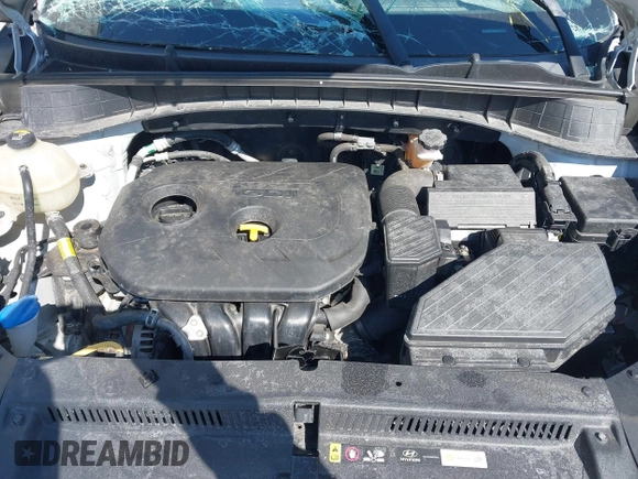 2019 Hyundai Tucson SE with VIN KM8J2CA48KU872175, listed as a IAAI auction lot 41956066 with 105,534 mi miles. Bid and sale history available at carsss.com. Image 10.