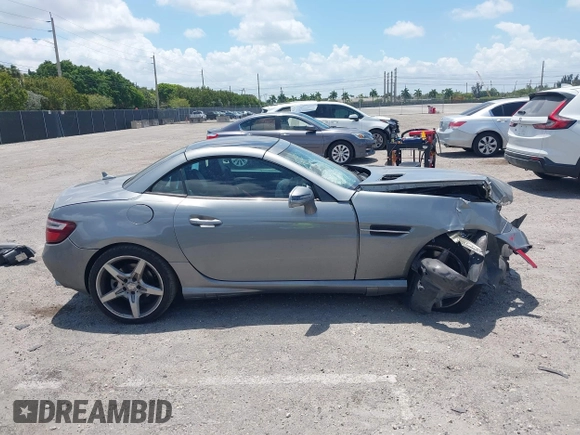 2014 Mercedes-Benz SLK 250 with VIN WDDPK4HA7EF092618, listed as a IAAI auction lot 42150470 with 52,727 mi miles and . Bid and sale history available at DreamBid. Image 14.