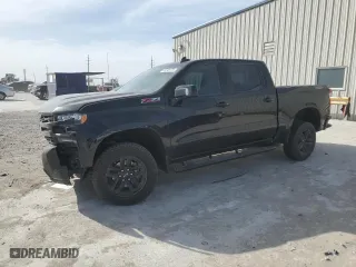 2019 Chevrolet Silverado 1500 LT Trail Boss with VIN 3GCPYFED3KG212539, listed as a Copart auction lot 49748175 with 116,202 mi miles and Salvage Title. Bid and sale history available at carsss.com. Image 1.