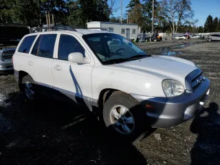 2005 Hyundai Santa Fe GLS with VIN KM8SC13D75U938125, listed as a Copart auction lot 81265824 with 175,296 mi miles and Salvage Title. Bid and sale history available at carsss.com. Image 4.