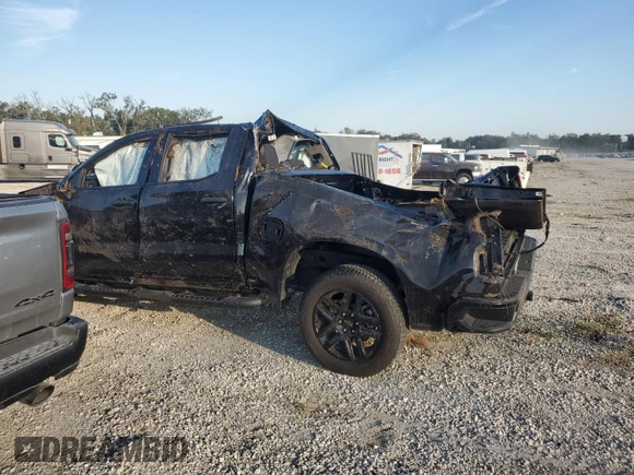 2024 Chevrolet Silverado 1500 Custom Trail Boss with VIN 3GCPDCEK9RG304743, listed as a Copart auction lot 77713204 with 0 mi miles and Non Repairable. Bid and sale history available at carsss.com. Image 2.