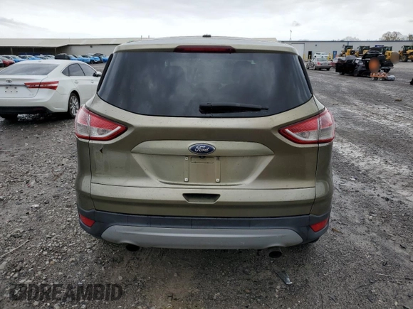 2014 Ford Escape SE with VIN 1FMCU0GX2EUA44369, listed as a Copart auction lot 51190805 with 117,975 mi miles and Salvage Title. Bid and sale history available at carsss.com. Image 6.