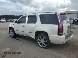 2010 Cadillac Escalade Premium with VIN 1GYUKCEF1AR291044, listed as a Copart auction lot 51627715 with 138,989 mi miles and Salvage title. Bid and sale history available at DreamBid. Image 2.
