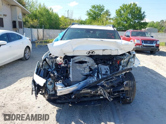 2024 Hyundai Santa Fe Calligraphy with VIN 5NMP5DGL8RH048723, listed as a IAAI auction lot 42063740 with Not provided miles and . Bid and sale history available at DreamBid. Image 6.