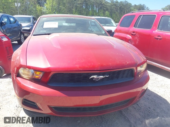 2010 Ford Mustang V6 with VIN 1ZVBP8EN4A5175330, listed as a IAAI auction lot 42049398 with 111,339 mi miles. Bid and sale history available at carsss.com. Image 6.