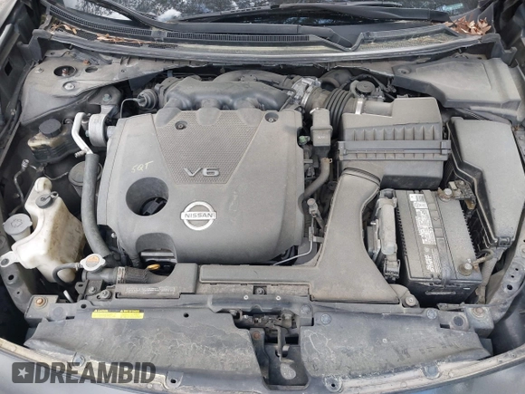 2009 Nissan Maxima SV with VIN 1N4AA51E39C841742, listed as a IAAI auction lot 41964426 with 165,199 mi miles and . Bid and sale history available at DreamBid. Image 10.