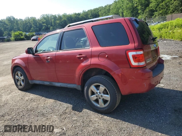 2010 Ford Escape Limited with VIN 1FMCU9EG0AKA79585, listed as a Copart auction lot 61580715 with Not provided miles and Salvage title. Bid and sale history available at DreamBid. Image 2.