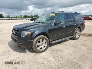2009 Ford Expedition Limited with VIN 1FMFU20599EB07274, listed as a Copart auction lot 59670215 with 196,020 mi miles and Clean title. Bid and sale history available at DreamBid. Image 1.