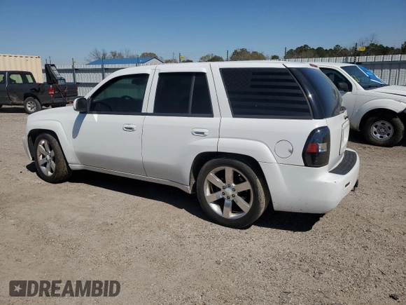 2006 Chevrolet TrailBlazer LT with VIN 1GNES13H162311299, listed as a Copart auction lot 48756625 with 94,240 mi miles and Salvage Title. Bid and sale history available at carsss.com. Image 2.