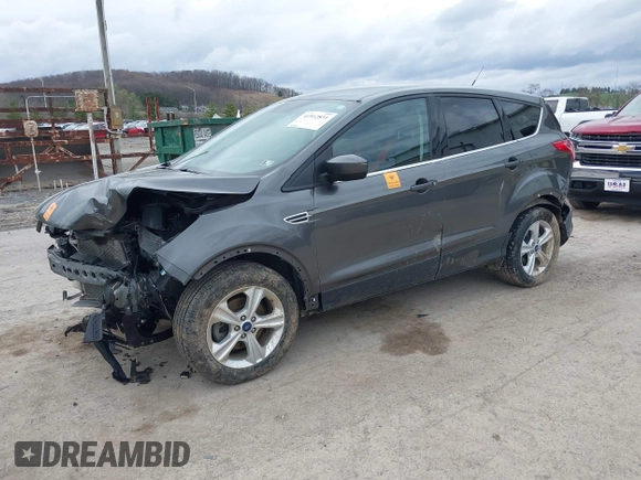 2015 Ford Escape SE with VIN 1FMCU0G79FUC53934, listed as a IAAI auction lot 41912831 with 117,197 mi miles. Bid and sale history available at carsss.com. Image 2.