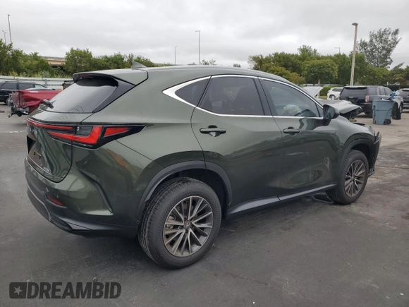 2025 Lexus NX 250 with VIN 2T2ADCAZ8SC021948, listed as a Copart auction lot 42130975 with 1,920 mi miles and Salvage title. Bid and sale history available at DreamBid. Image 3.