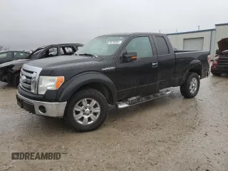 2009 Ford F-150 XL with VIN 1FTPX14V59KB75125, listed as a Copart auction lot 86796804 with 211,874 mi miles and Salvage title. Bid and sale history available at DreamBid. Image 1.