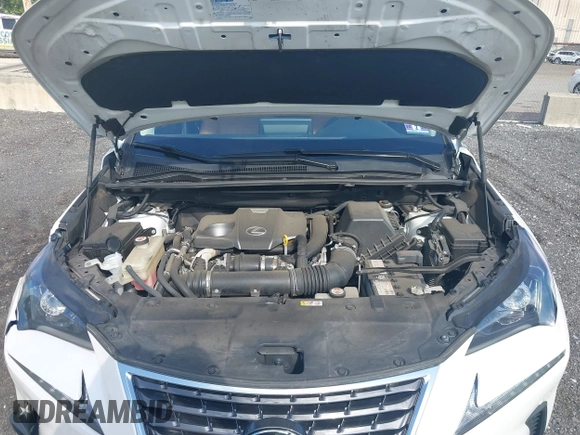 2019 Lexus NX 300 with VIN JTJBARBZ8K2200862, listed as a IAAI auction lot 42201649 with 42,564 mi miles and . Bid and sale history available at DreamBid. Image 10.