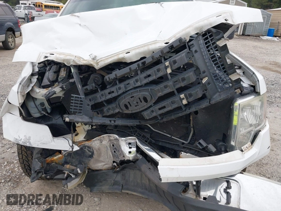2010 Ford F-150 XL with VIN 1FTEX1C82AFC53442, listed as a IAAI auction lot 40375638 with 1 mi miles. Bid and sale history available at carsss.com. Image 6.