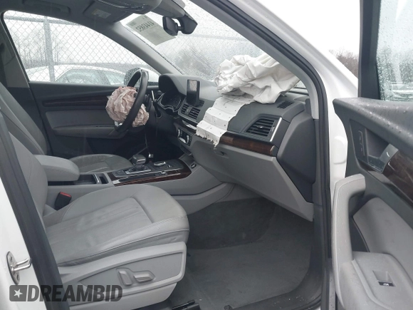 2019 Audi Q5 Premium with VIN WA1ANAFY0K2093743, listed as a IAAI auction lot 41443852 with 63,874 mi miles. Bid and sale history available at carsss.com. Image 5.
