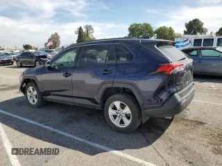 2019 Toyota RAV4 XLE with VIN JTMP1RFV8KD513544, listed as a Copart auction lot 48754385 with Not Provided miles and Salvage Title. Bid and sale history available at DreamBid. Image 2.