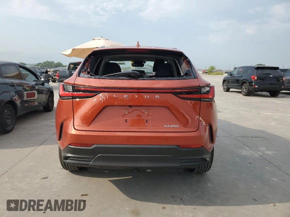 2022 Lexus NX 250 Premium with VIN JTJGDCAZ9N2004588, listed as a Copart auction lot 57081073 with 10,742 mi miles and . Bid and sale history available at DreamBid. Image 6.