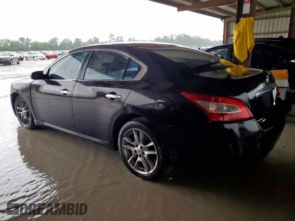2010 Nissan Maxima SV with VIN 1N4AA5AP8AC841306, listed as a Copart auction lot 60698265 with 117,853 mi miles and Salvage title. Bid and sale history available at DreamBid. Image 2.
