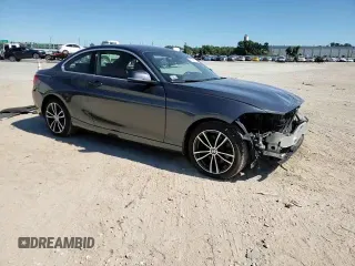 2018 BMW 2 Series 230i xDrive with VIN WBA2J3C55JVD48802, listed as a Copart auction lot 72229073 with 33,602 mi miles and . Bid and sale history available at DreamBid. Image 11.