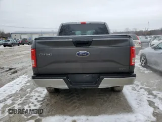 2016 Ford F-150 XLT with VIN 1FTEW1EF3GFB13004, listed as a Copart auction lot 46842095 with 171,971 mi miles and Salvage Title. Bid and sale history available at carsss.com. Image 6.