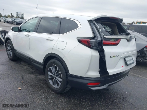 2022 Honda CR-V EX with VIN 5J6RW1H59NA020450, listed as a IAAI auction lot 41765802 with 31,147 mi miles. Bid and sale history available at carsss.com. Image 3.