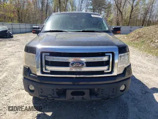 2013 Ford F-150 XL with VIN 1FTFX1EF4DFB87061, listed as a Copart auction lot 55293955 with 204,468 mi miles and Clean Title. Bid and sale history available at carsss.com. Image 5.