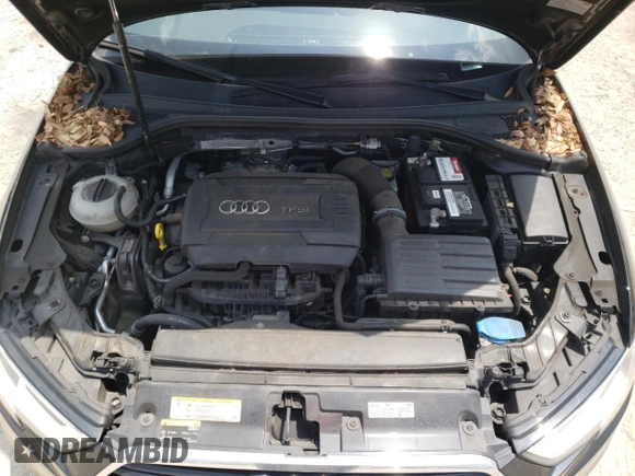2017 Audi A3 Sedan Premium with VIN WAUB8GFF3H1016394, listed as a Copart auction lot 55755413 with 114,305 mi miles. Bid and sale history available at carsss.com. Image 11.