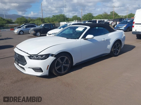 2024 Ford Mustang EcoBoost with VIN 1FAGP8UH3R5126397, listed as a IAAI auction lot 41917899 with 15,743 mi miles and . Bid and sale history available at DreamBid. Image 18.