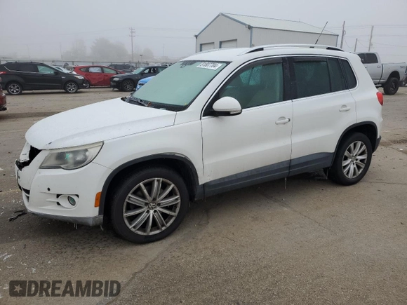 2010 Volkswagen Tiguan SEL with VIN WVGBV7AX8AW530953, listed as a Copart auction lot 81807704 with 146,558 mi miles and Salvage Title. Bid and sale history available at DreamBid. Image 1.