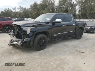 2024 Toyota Tundra 1794 Edition with VIN 5TFMC5DB1RX045003, listed as a Copart auction lot 46123005 with 16,881 mi miles and Salvage title. Bid and sale history available at DreamBid. Image 1.