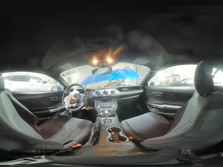 2017 Ford Mustang V6 with VIN 1FATP8EM2H5228637, listed as a Copart auction lot 43769155 with 29,259 mi miles and Salvage Title. Bid and sale history available at carsss.com. Image 14.