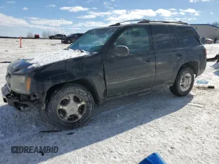 2008 Chevrolet TrailBlazer 1LT with VIN 1GNDT13S782123152, listed as a Copart auction lot 45971355 with 229,630 mi miles and Salvage Title. Bid and sale history available at DreamBid. Image 1.