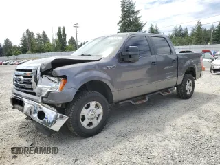 2012 Ford F-150 XL with VIN 1FTFW1EF5CKD80067, listed as a Copart auction lot 61274875 with 132,670 mi miles and Salvage title. Bid and sale history available at DreamBid. Image 1.