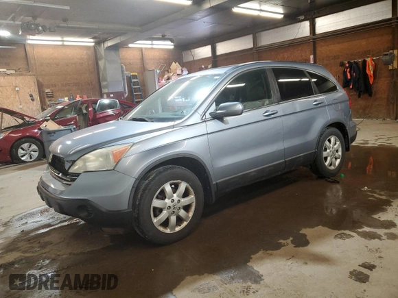 2009 Honda CR-V EX-L z VIN 5J6RE487X9L069169, wystawiony jako Copart lot #58907595 z przebiegiem 114 289 mil mil oraz Szkoda całkowita • Salvage title. Historia ofert i sprzedaży dostępna na DreamBid. Obrazek 1.