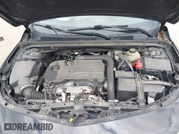 2019 Chevrolet Malibu LT with VIN 1G1ZD5ST3KF156204, listed as a IAAI auction lot 41891348 with 106,219 mi miles and . Bid and sale history available at DreamBid. Image 10.